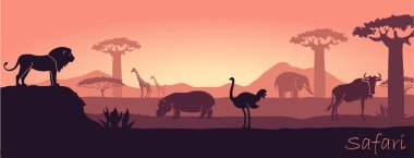 Afrika yatay, vahşi hayvanlar