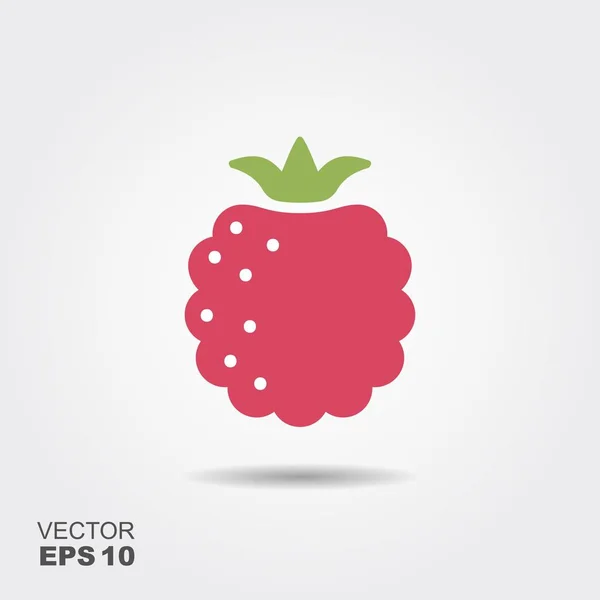 Raspberry platte pictogram met schaduw — Stockvector