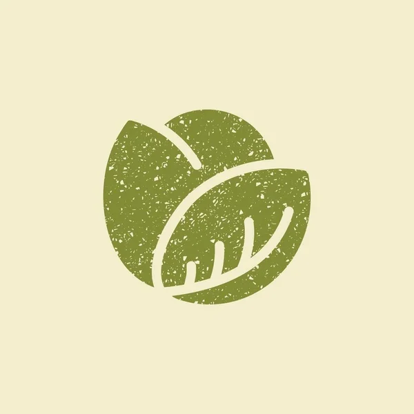 Стилизованная плоская икона капусты . — стоковый вектор