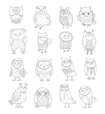 Çizgi baykuşlarının vektör kümesi. Biçimli el çizimi