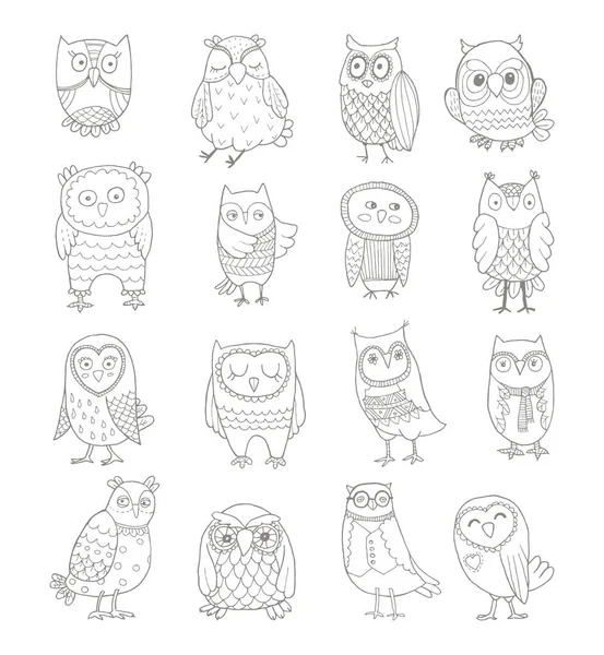 Çizgi baykuşlarının vektör kümesi. Biçimli el çizimi