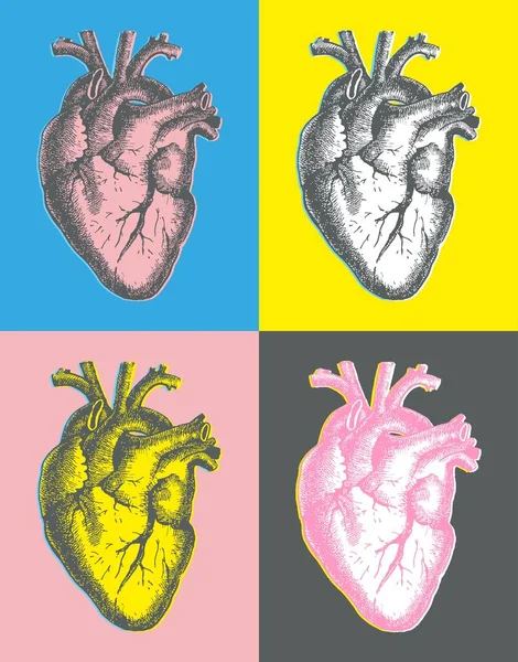 Linea disegnata a mano anatomico cuore umano — Vettoriale Stock