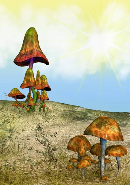Фантастическая земля с грибами — стоковое фото