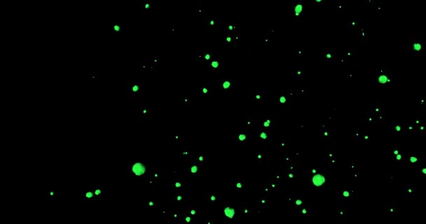 Background Thousand Stars Glowing Back Backdrop — ストック動画