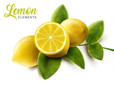 Limon ve yeşil yaprakları öğeleri