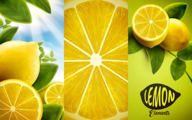 Limon ve yeşil yaprakları öğeleri