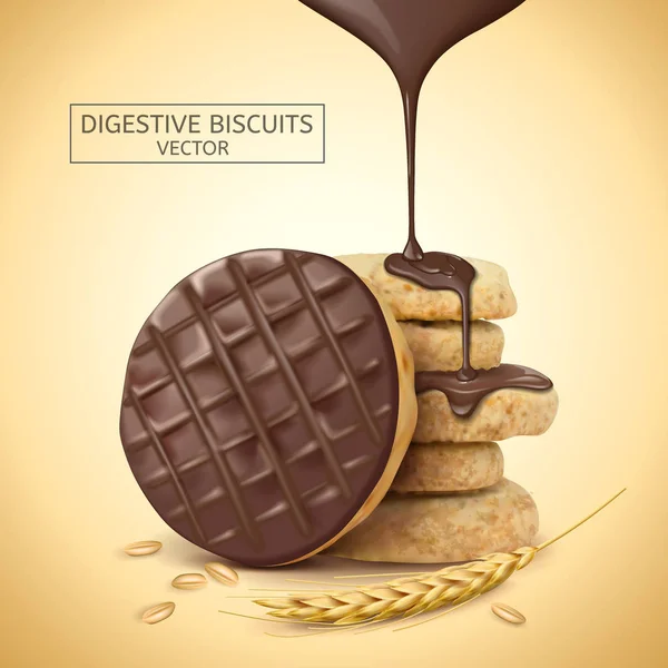 巧克力消化饼干元素 — 图库矢量图片