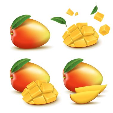 Taze mango tasarım