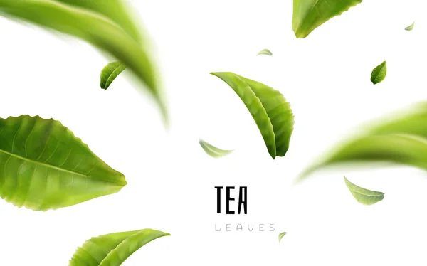 Elementos de hoja de té — Vector de stock