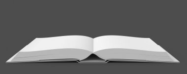 Açık kitap görüntü