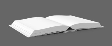 Açık kitap görüntü