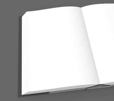 Açık kitap görüntü