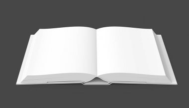 Açık kitap görüntü