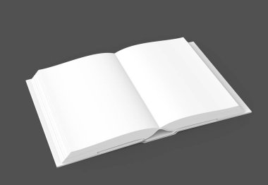 Açık kitap görüntü