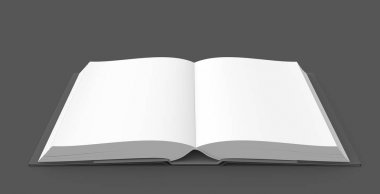 Açık kitap görüntü