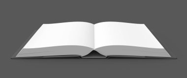 Açık kitap görüntü