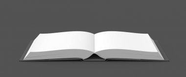 Açık kitap görüntü