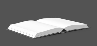 Açık kitap görüntü