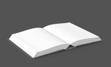 Açık kitap görüntü