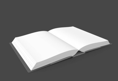 Açık kitap görüntü