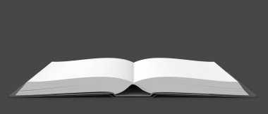 Açık kitap görüntü