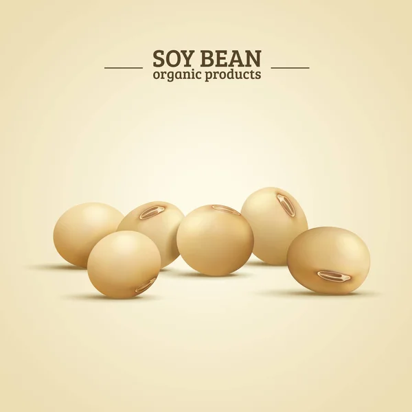 Soy bean elementen — Stockvector