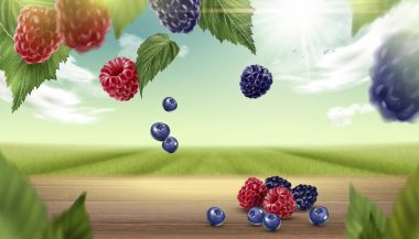 Mavi berry ve ahududu arka plan