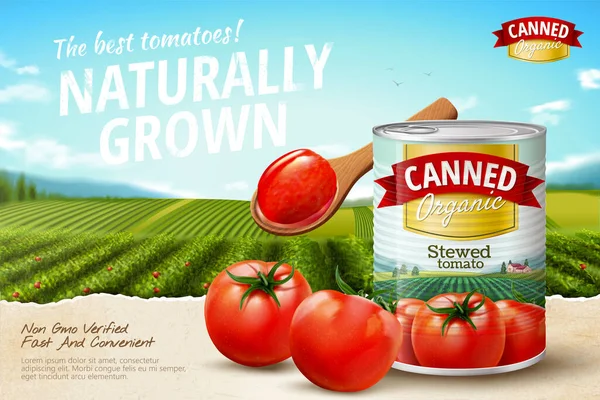 Annonces Tomates Conserve Avec Des Légumes Frais Sur Champ Vert — Image vectorielle