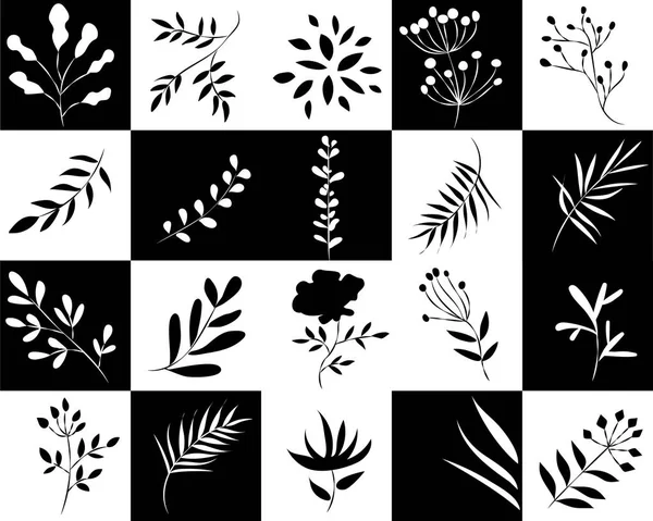 Ikoner av växter i svarta och vita rutor — Stockfoto