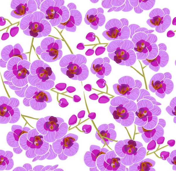 Padrão Flores Coloridas Orchid Vector Illustration Stock Imagens Vetoriais Belas — Vetor de Stock