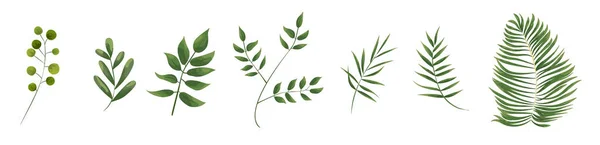 Зеленые листья в стиле акварели — стоковый вектор