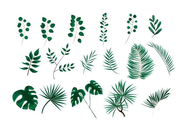 Gröna blad i stil med akvarell — Stock vektor