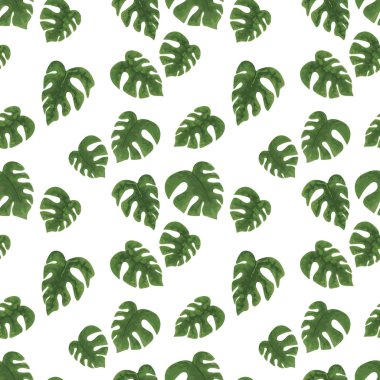 parlak yeşil tropikal seamless modeli üzerinde beyaz backgr yaprakları