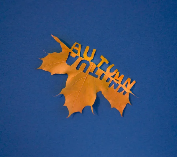 Падіння осіннього кленового листя природного фону — стокове фото