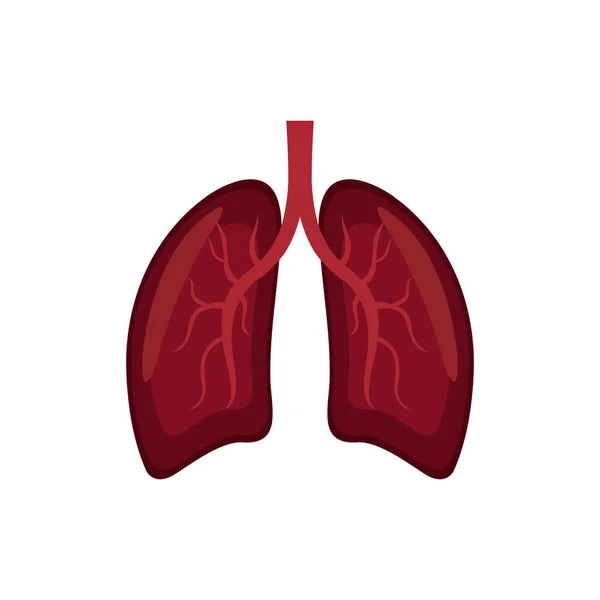 フラットベクトル図におけるヒト肺 Eps — ストックベクタ