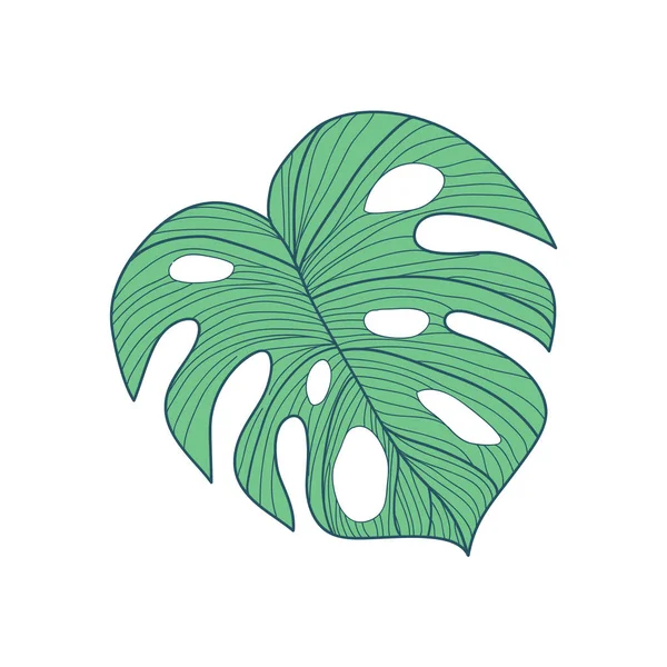 Grande Cordado Tropical Folha mão desenhada ilustração — Vetor de Stock