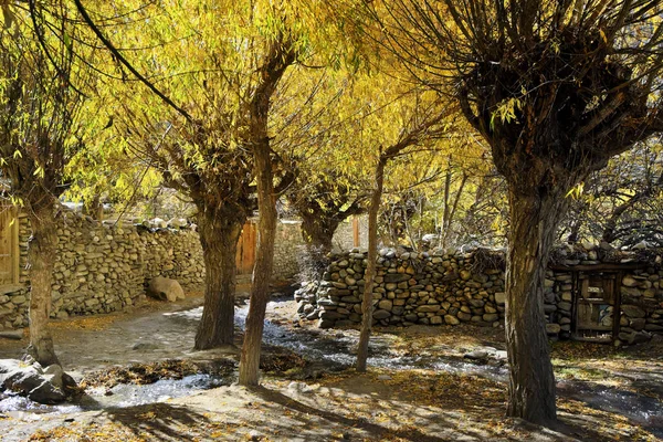 Bir sokak o ve ağaçlar Sarı le ile birlikte çalışan bir dere ile