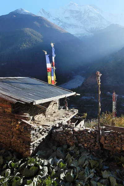 尼泊尔喜马拉雅山的 Cabbidge 花园和石屋 — 图库照片