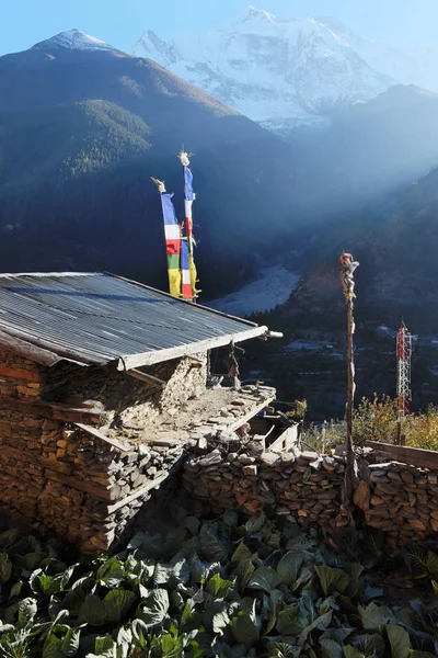 Cabbidge Bahçe ve taş ev Nepal Himalayalar