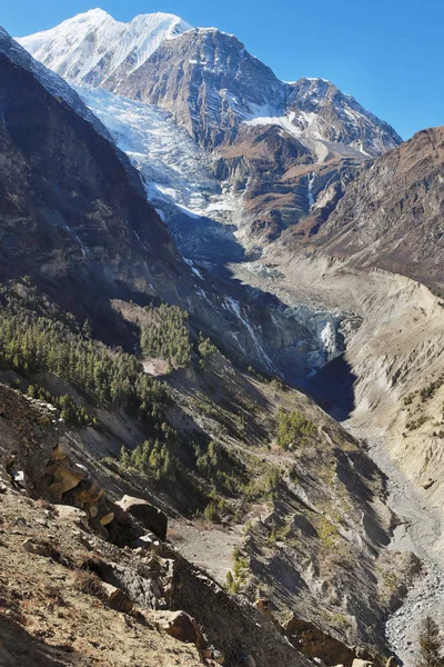 Nepal Himalayalar. Gangapurna Buzulu.