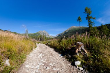 Slovakça Mlynicka dolina Tatra manzara