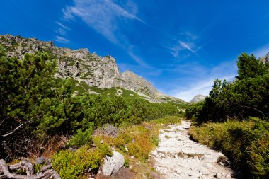 Slovakça Mlynicka dolina Tatra manzara