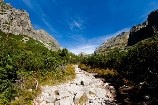 Slowakische Landschaft mlynicka dolina tatra — Stockfoto