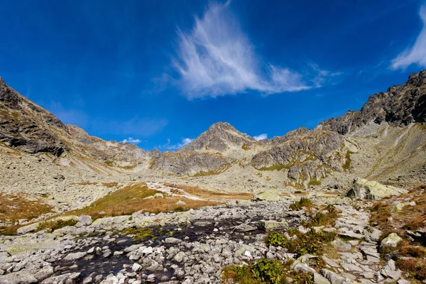 Slovakça Mlynicka dolina Tatra manzara — Stok fotoğraf