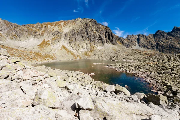 Slovakian Capie pleso Tatra landscape — Stock Photo, Image