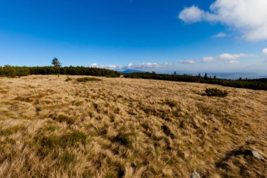 Güzel sonbahar Beskidy mountains manzara