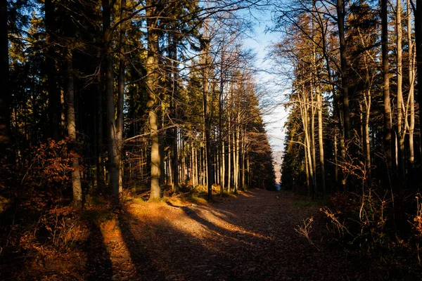 Bel automne paysage de montagne Beskidy — Photo