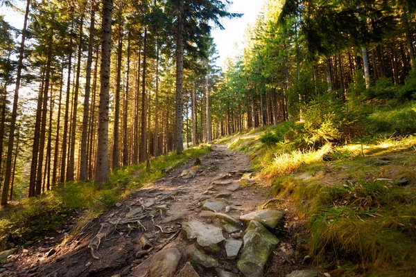 Bellissimo autunno Beskidy montagne paesaggio — Foto Stock