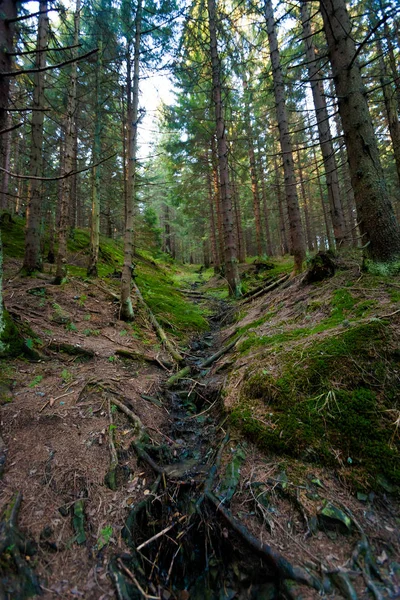 Güzel sonbahar Beskidy mountains manzara — Stok fotoğraf