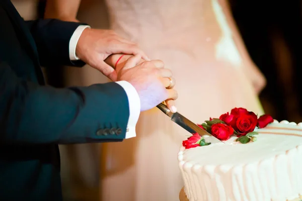 Newlyweds wedding cake cutting detail — Stock Photo, Image